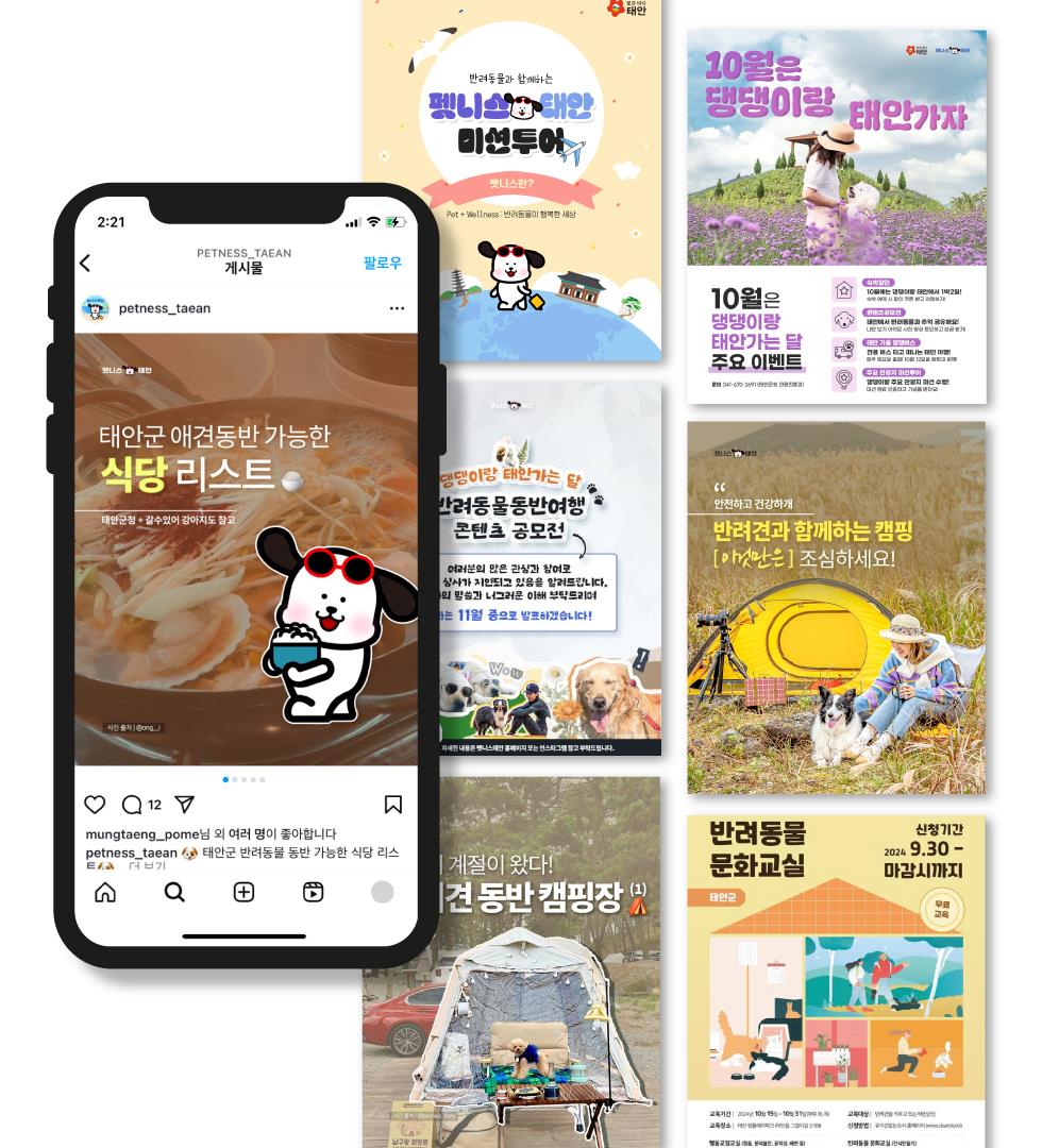 반려동물 동반여행 SNS 포트폴리오